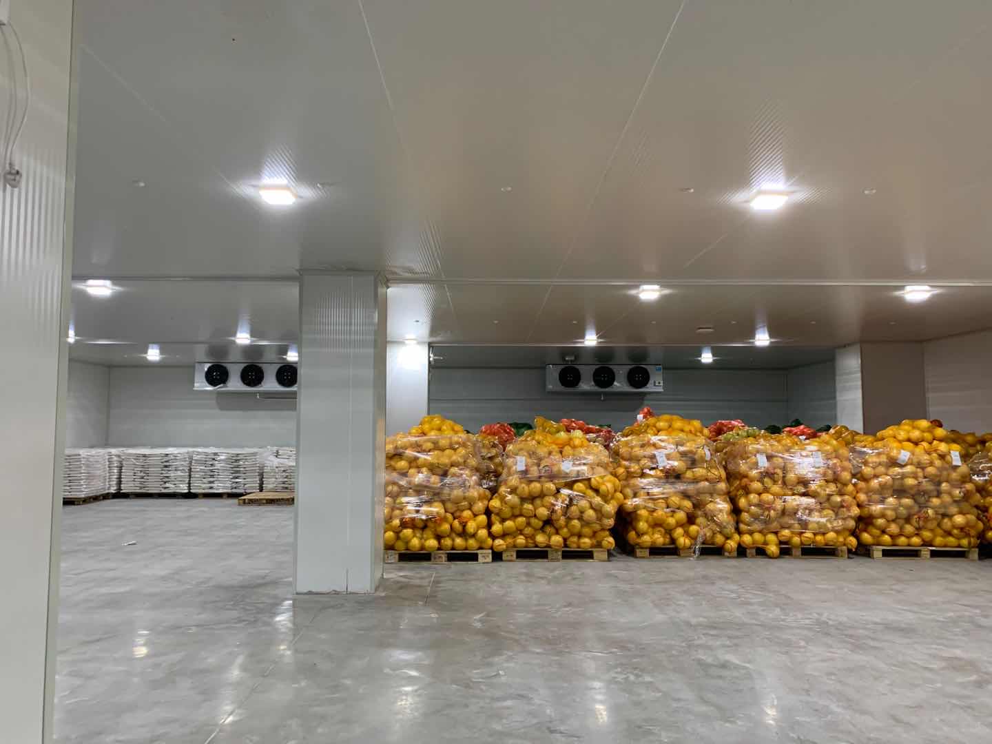 建一套農產(chǎn)品蔬菜保鮮冷庫安裝需要多少錢?