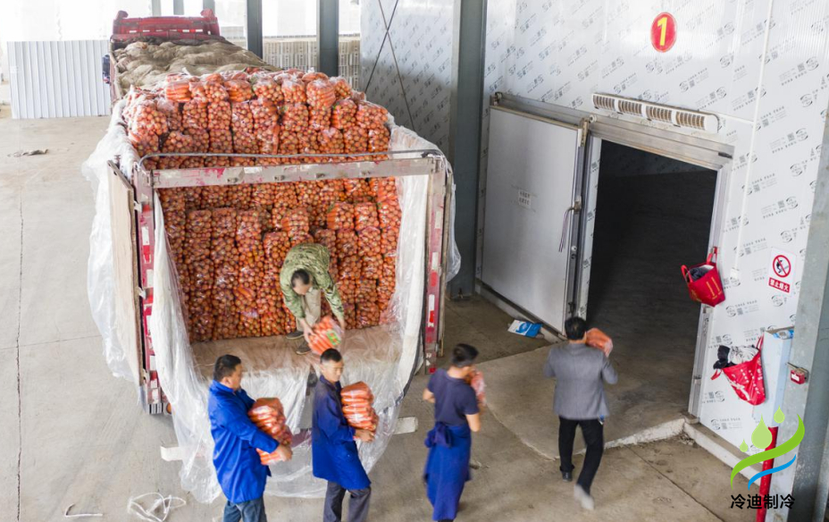 蘿卜保鮮冷庫(kù)