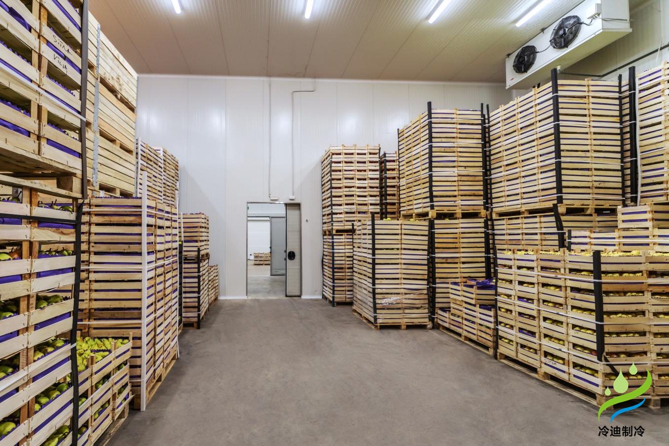 不同規模保鮮冷庫造價榜單，保鮮冷庫耗電量表