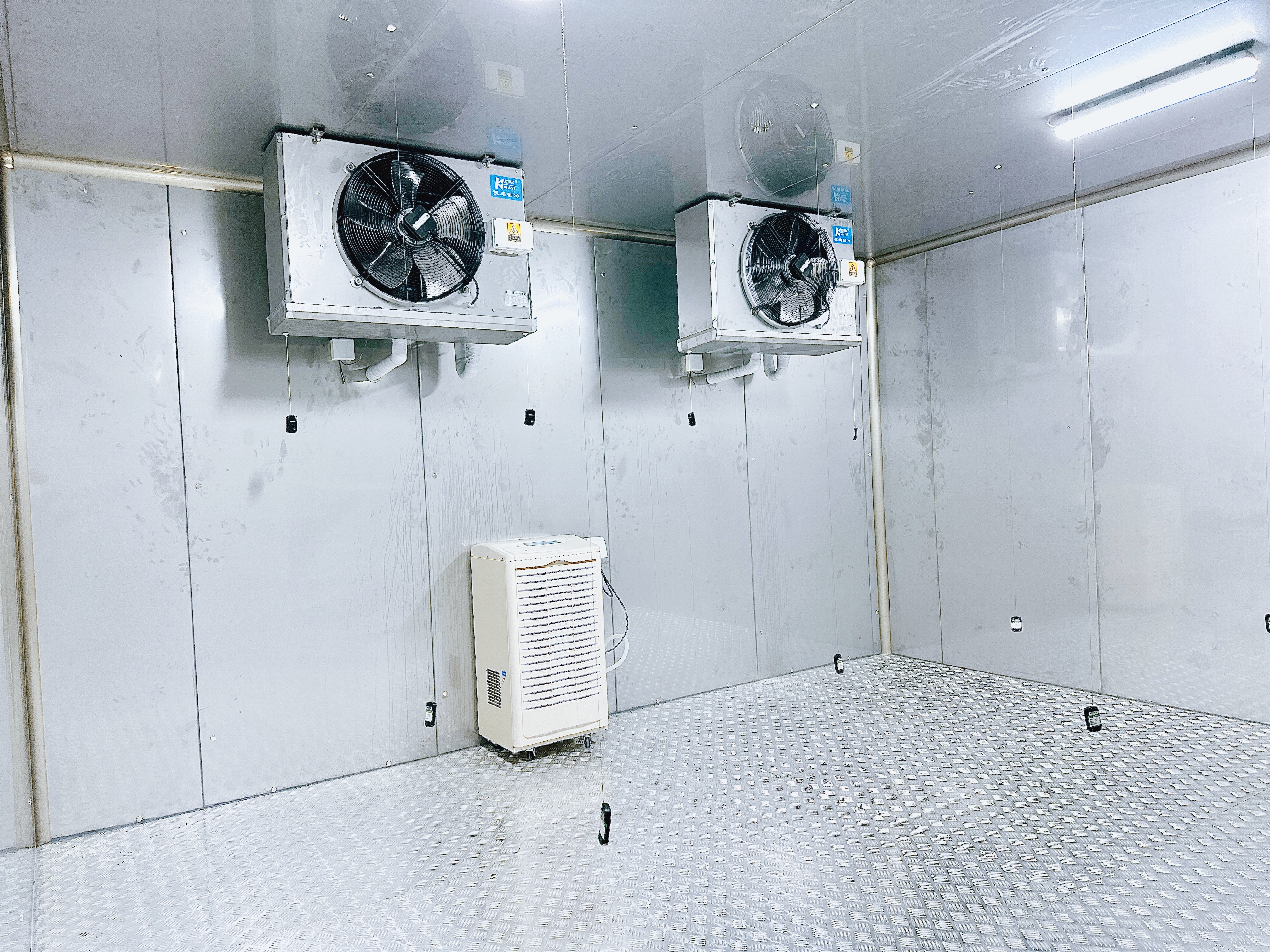 建造一座速凍冷庫造價大概多少錢?(圖1)