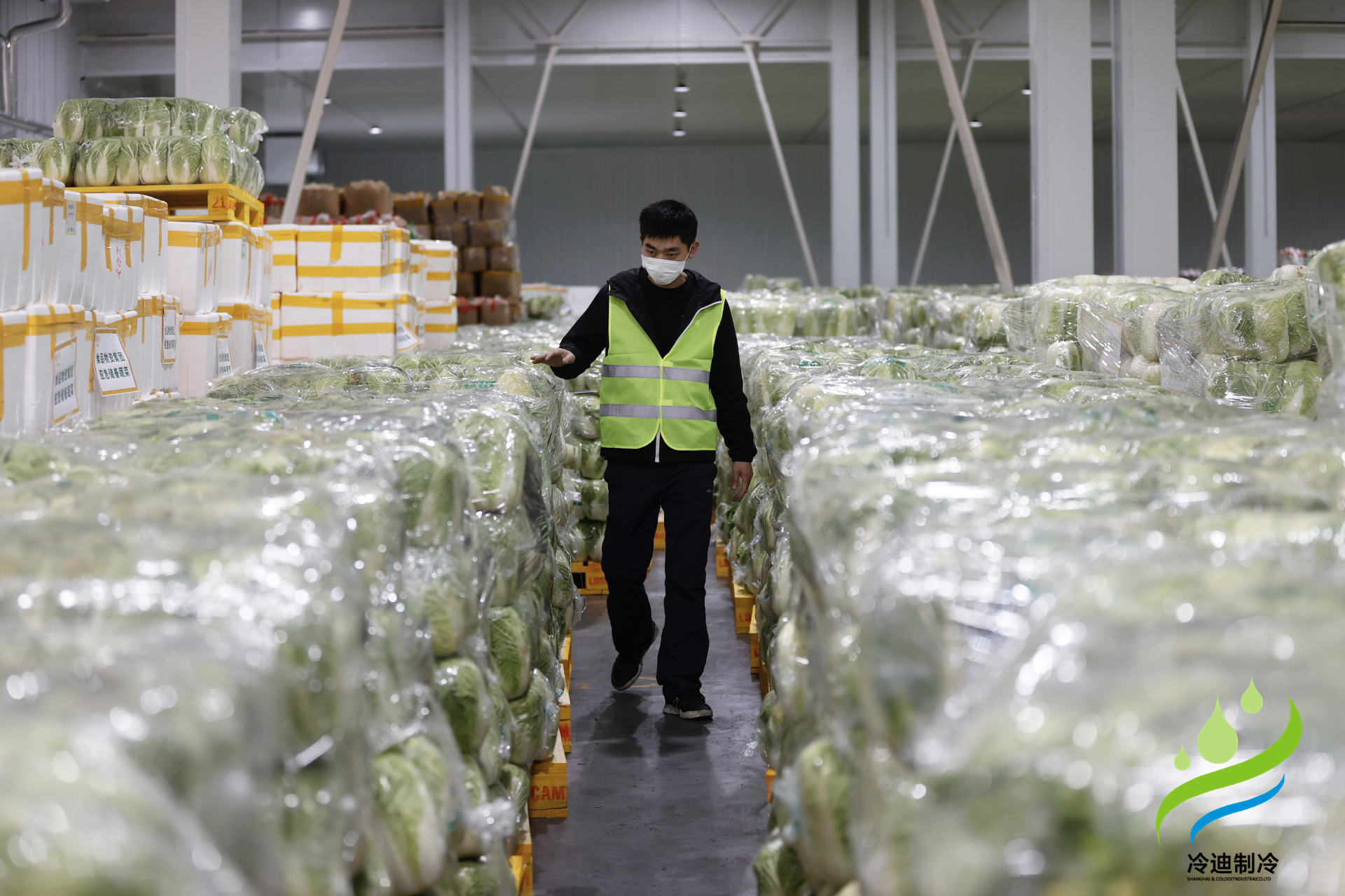 安裝一個生鮮冷鏈冷庫需要多少錢？(圖2)