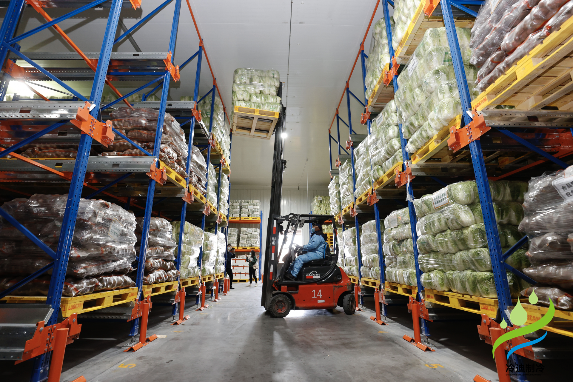 建造一個預(yù)冷冷庫需要多少錢？(圖2)