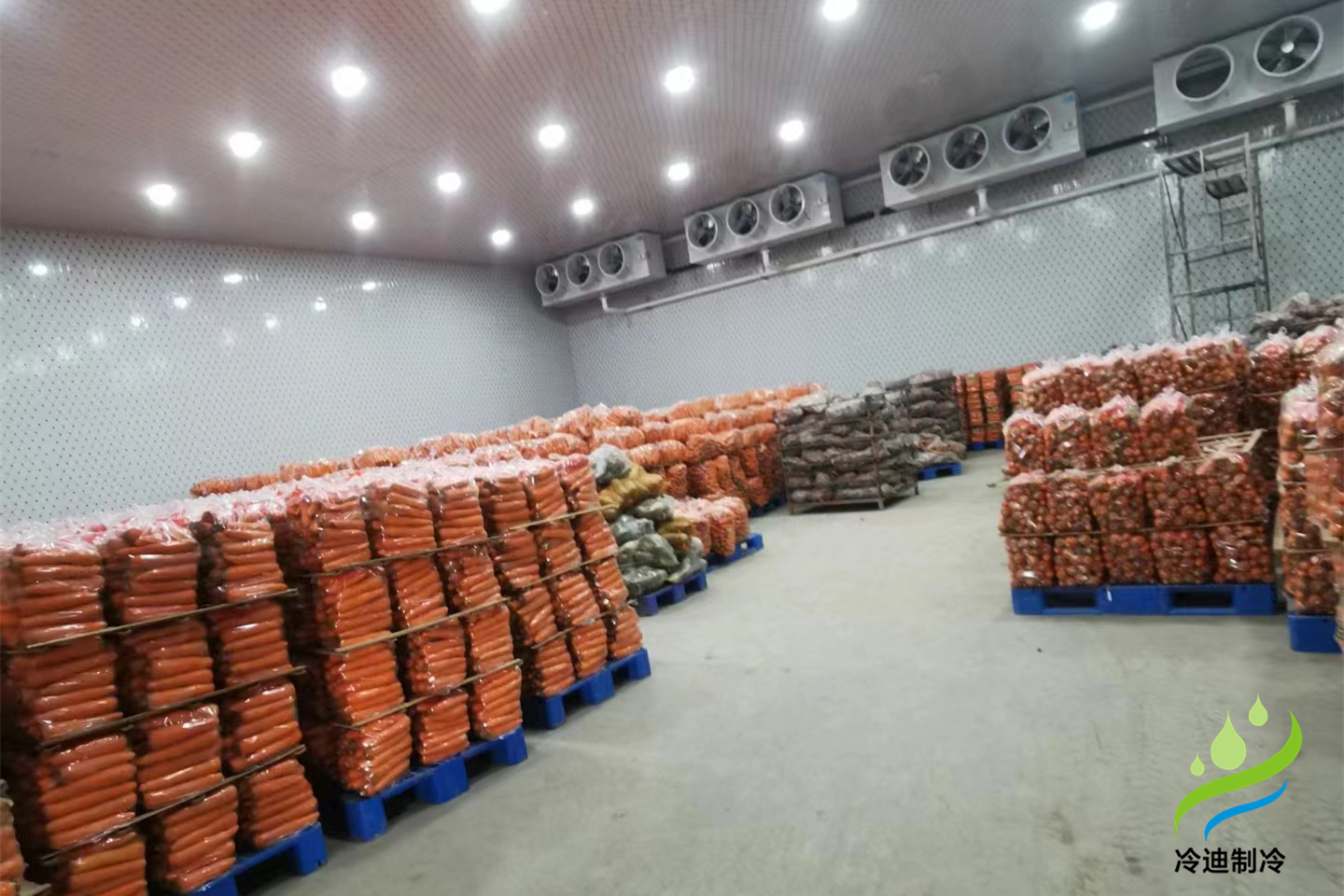 建造一個西瓜冷庫需要多少錢?(圖2)