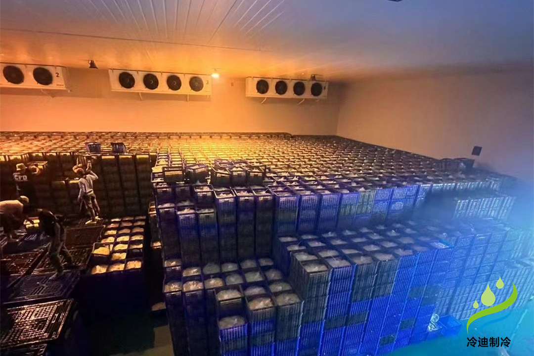 建設大型冷庫造價多少錢一平方米？