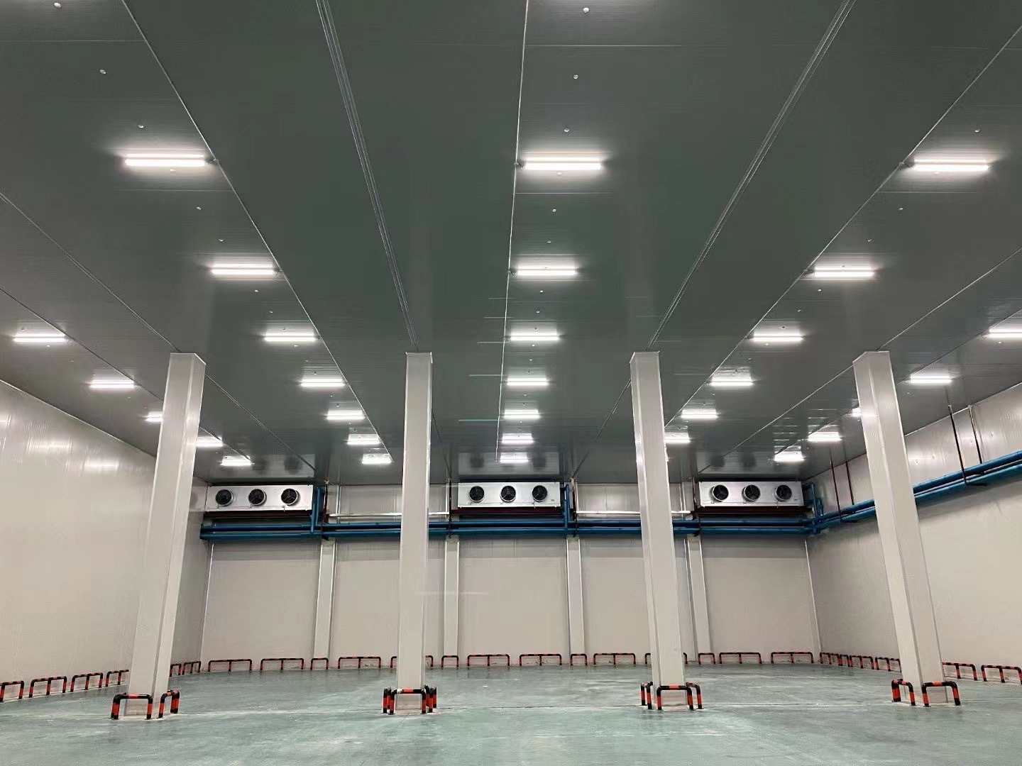 1000平方米的水果保鮮庫成本(圖2) 冷庫